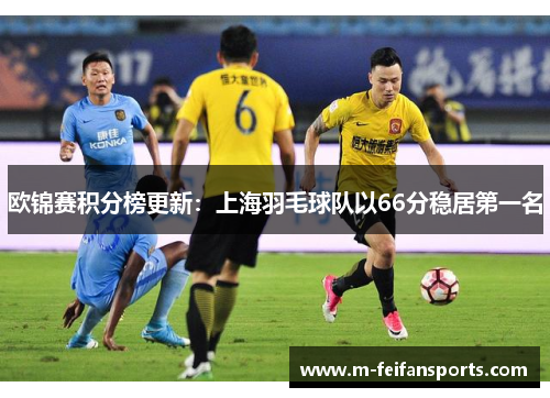 欧锦赛积分榜更新：上海羽毛球队以66分稳居第一名